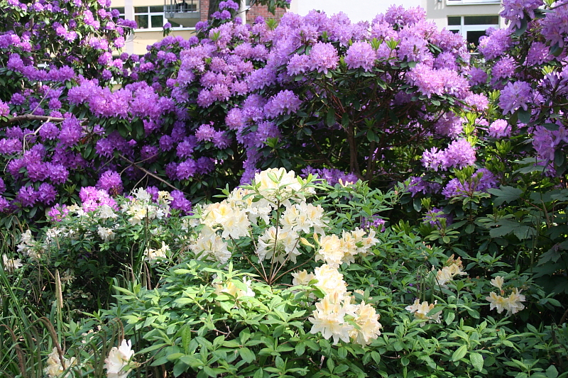 Killikus&reg; Fotographie